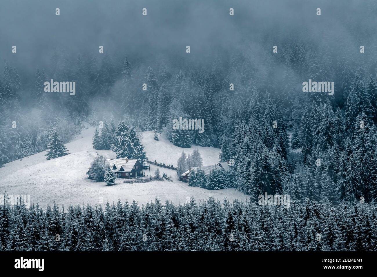 Winterlandschaft, Bucovina Landschaft, Haus bedeckt mit Schnee umgeben, Weihnachtsgrüßkarten Stockfoto