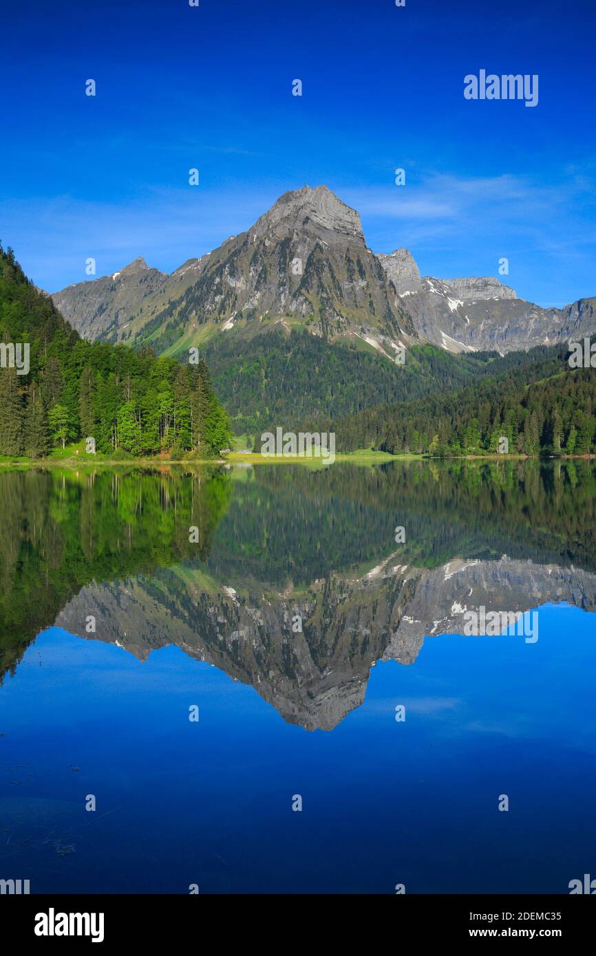 Geographie / Reisen, Schweiz, Obersee, Bruennelistock, 2133m, Naefels, Glaru, Additional-Rights-Clearance-Info-not-available Stockfoto