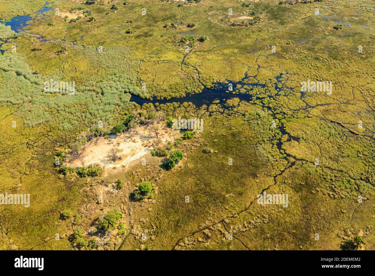 Panorama-Luftaufnahme über das unberührte Moremi Game Reserve, mit Wasserstraßen im Okavango Delta in der Kalahari, Nord-Botswana, Süd-Afrika Stockfoto