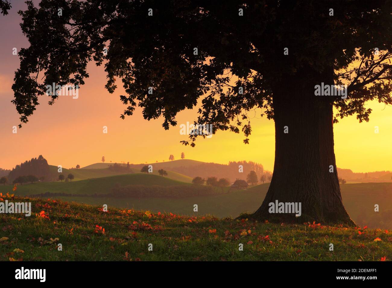 Geographie / Reisen, Schweiz, ländliche Klime, No-Postcard-use, No-Greeting-Card-use, deutschsprachige Länder (D / A / CH), 01.11.2016 - 01.11.2019, Stockfoto