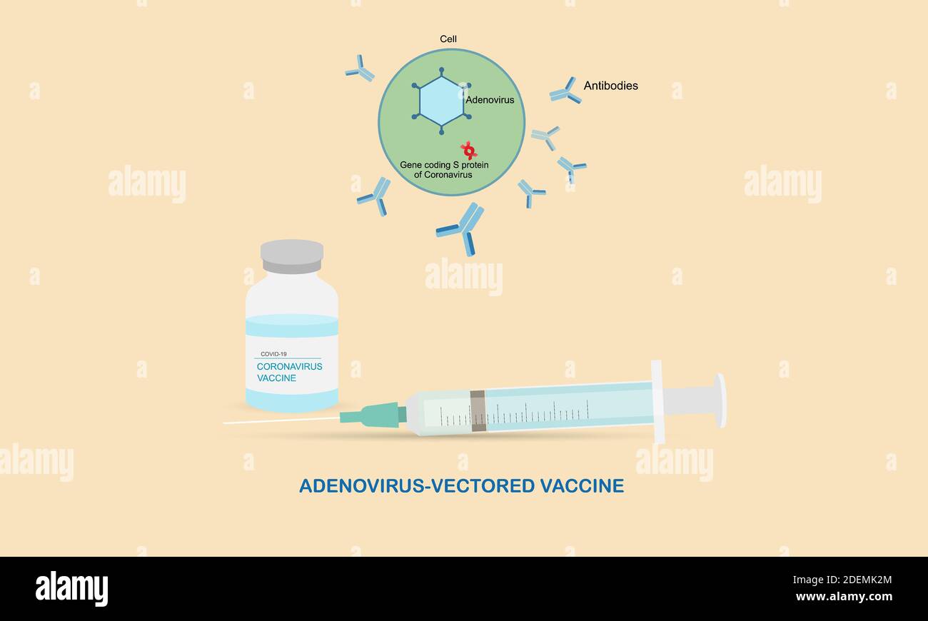 Adenovirus-vectored Impfstoff für Coronavirus oder covid-19 Pandemie. Abbildung einer Spritze mit Nadel und einer Flasche Impfstoff. Stock Vektor