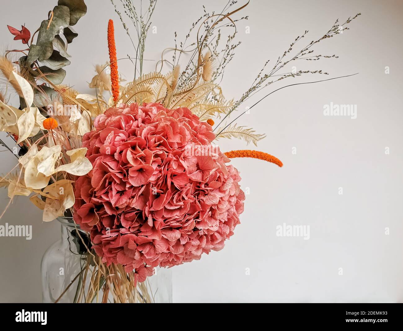 Getrocknete Blumenarrangements in weichen rosa Tönen gegen ein neutrales Weißer Hintergrund Stockfoto