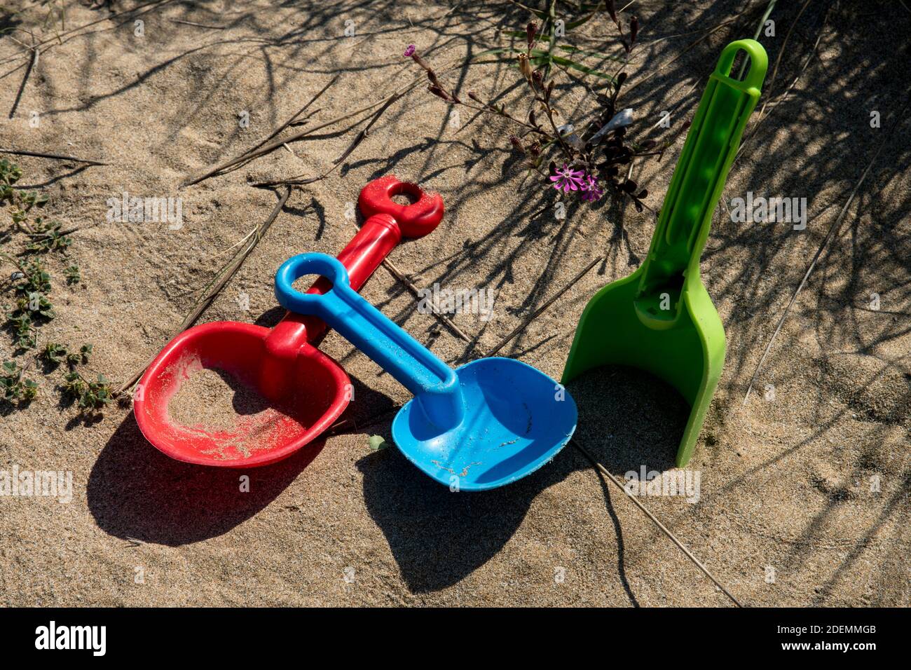 Blaue, grüne und rote Spielzeuge am Strand Stockfoto