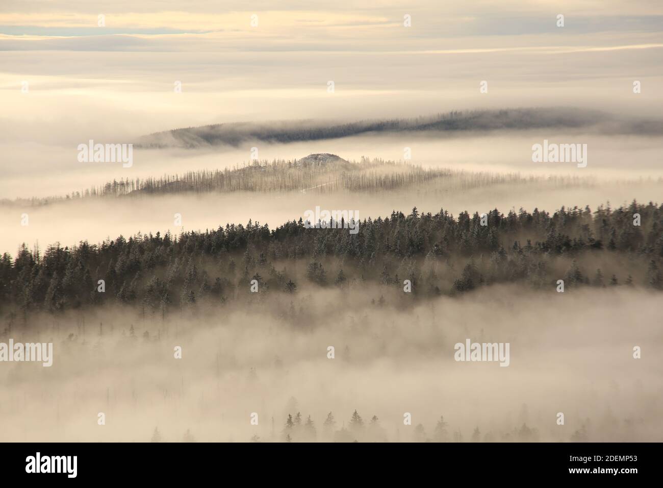 Schierke, Deutschland. Dezember 2020. Dichter Nebel zieht über den Harz. Ein Hauch von Winter ist im Harz mit einer dünnen Schneeschicht in den oberen Bergregionen zu sehen. Quelle: Matthias Bein/dpa-Zentralbild/dpa/Alamy Live News Stockfoto