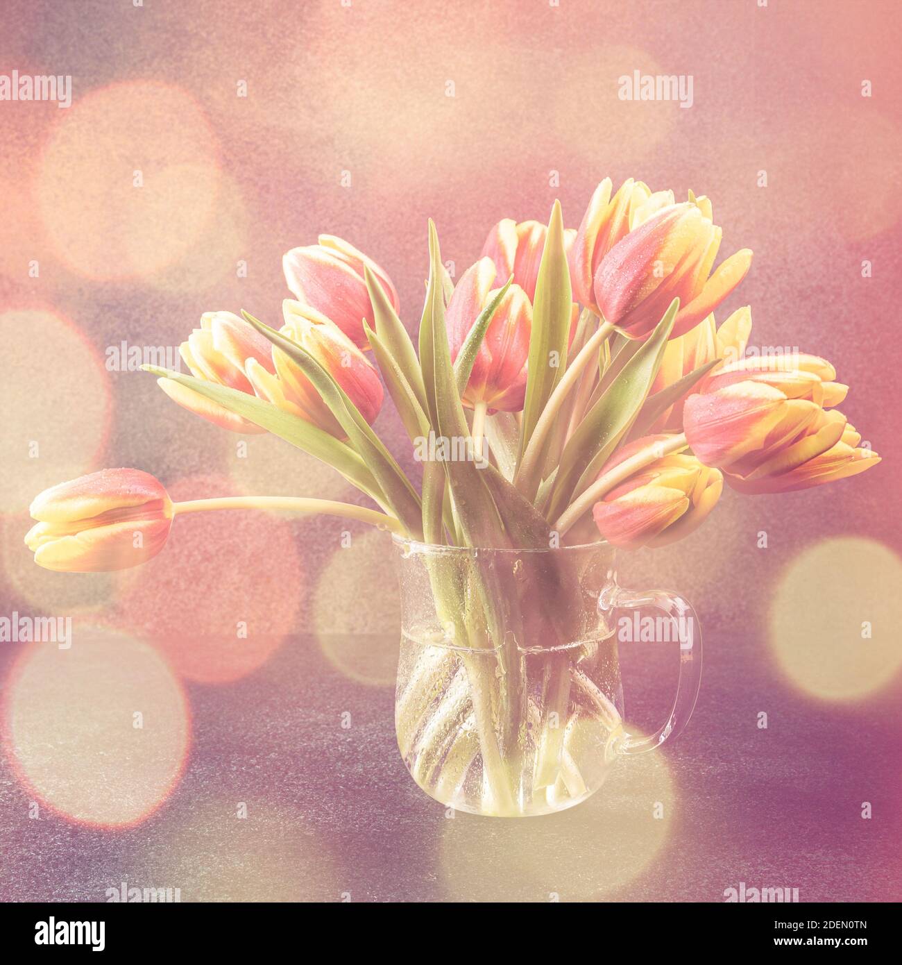 Rote gelbe Tulpen in Glasvasen Stockfoto