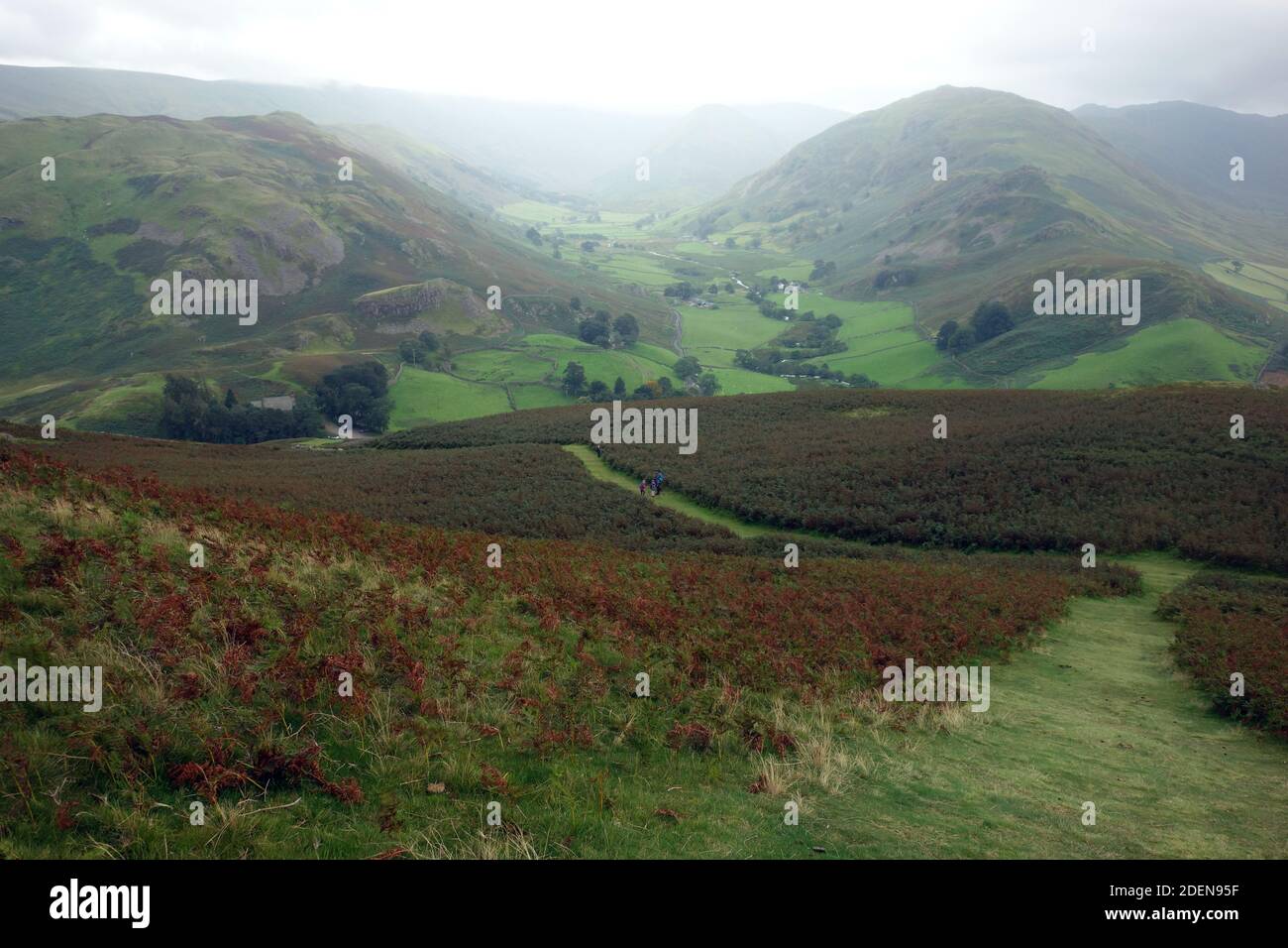 Howe Grain and the Wainwrights 'Steel Knotts & Beda Fell' from Path auf ''Hallin Hill' in Martindale, Lake District National Park, Cumbria, England, UK. Stockfoto