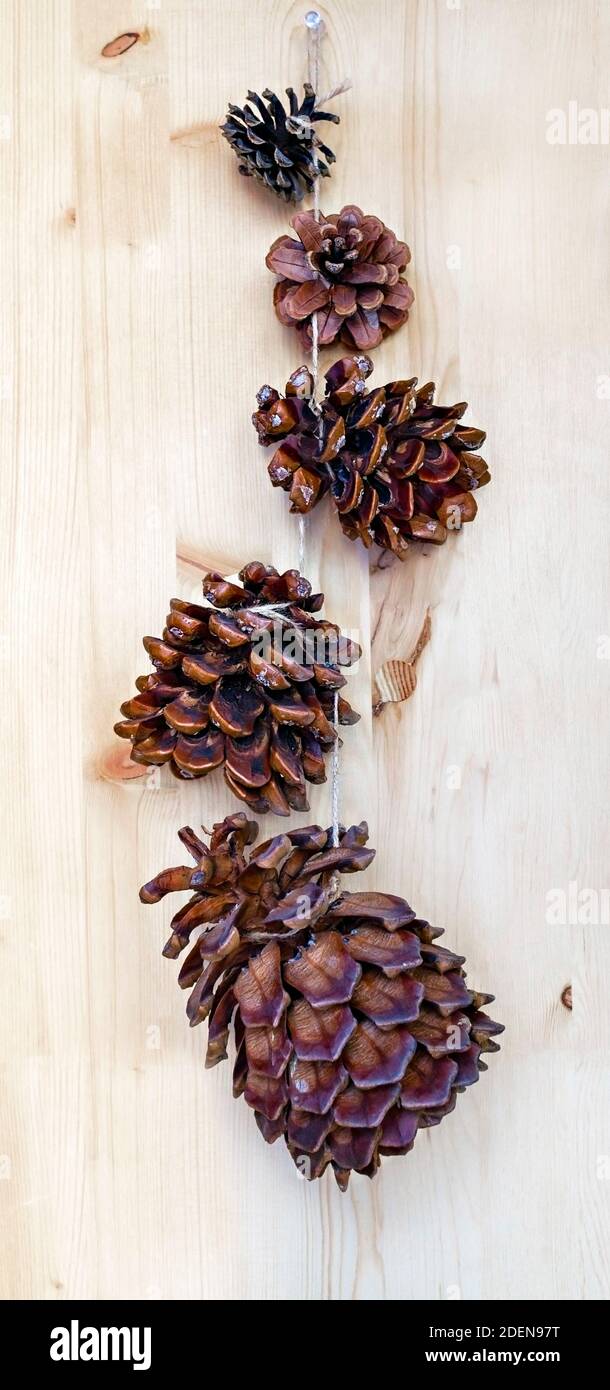 Weihnachten handgemachte Girlande aus Kiefer, Lärche und Zedernkegel auf einem hellen Holzhintergrund. Vertikale minimal abstrakten Hintergrund, Öko-Konzept, neutral pa Stockfoto