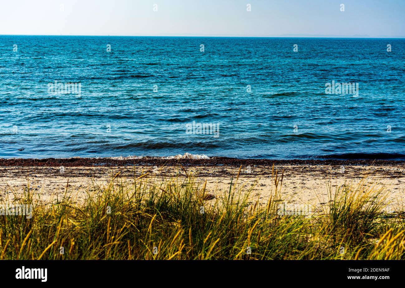 Schöner klassischer Strand in Skandinavien mit Sand, Gras, Algen und Dünen. . Hochwertige Fotos Stockfoto