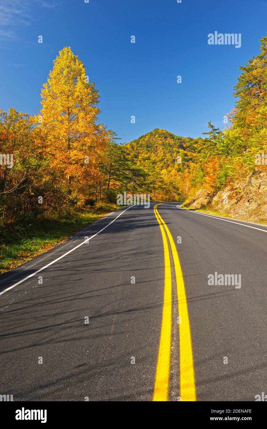 Nordamerika, USA, Ostküste, Appalachian Mountains, Virginia, Blue Ridge Parkway, Stockfoto