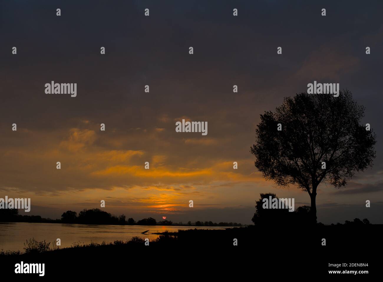 Sonnenaufgang an der Elbe Stockfoto