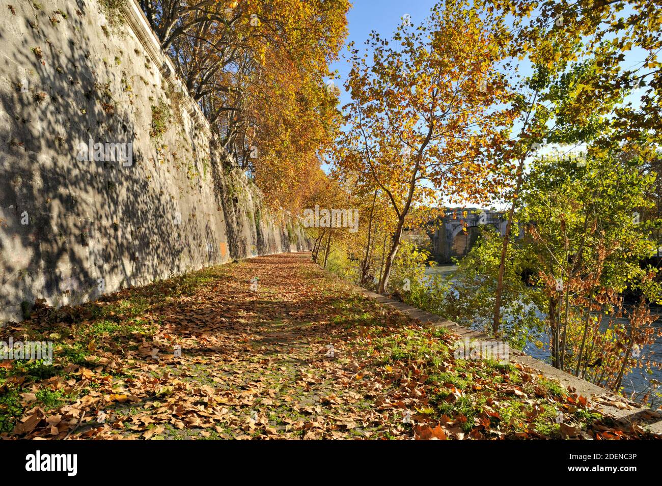 Italien, Rom, Tiber, Herbstbäume Stockfoto