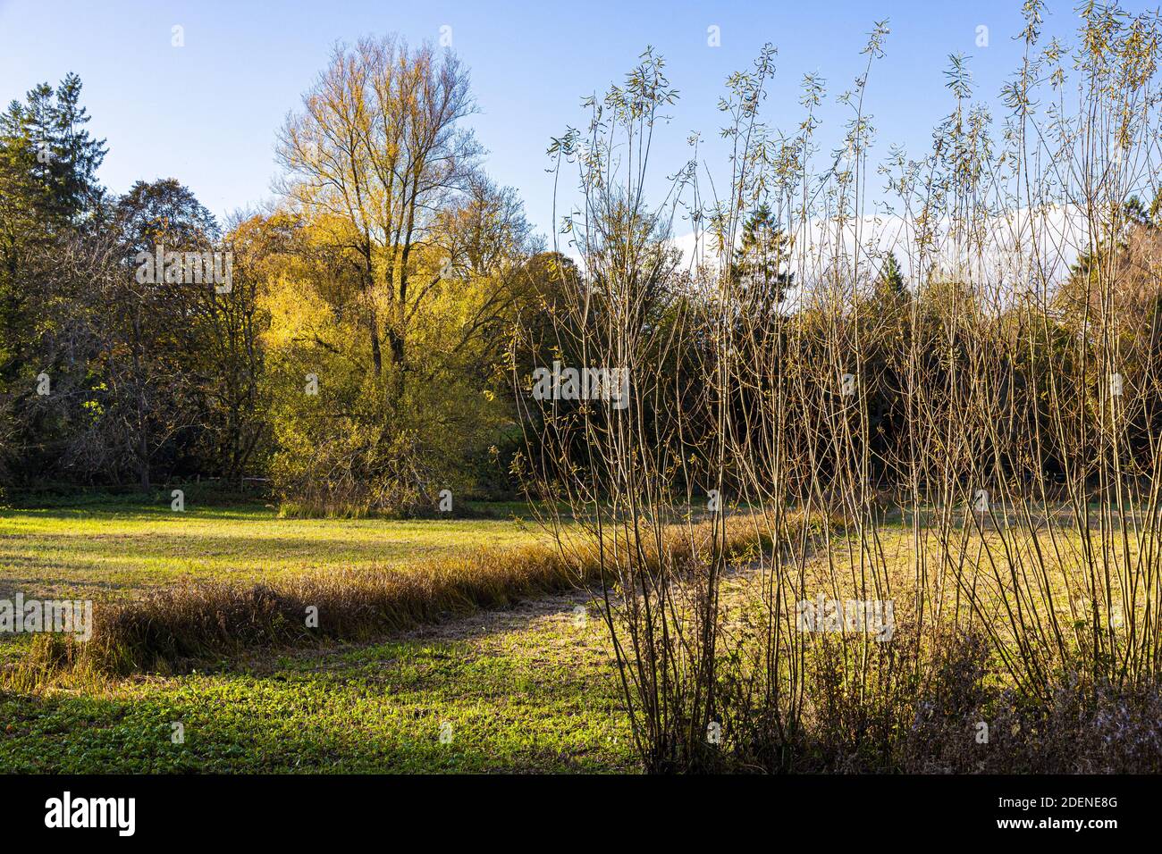 Herbst in den Cotswolds - Rack Isle im Dorf Bibury, Gloucestershire UK Stockfoto
