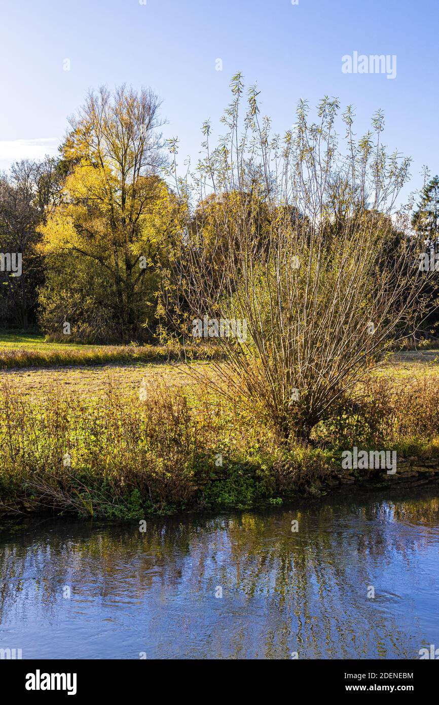 Herbst in den Cotswolds - Rack Isle am Fluss Coln im Dorf Bibury, Gloucestershire UK Stockfoto