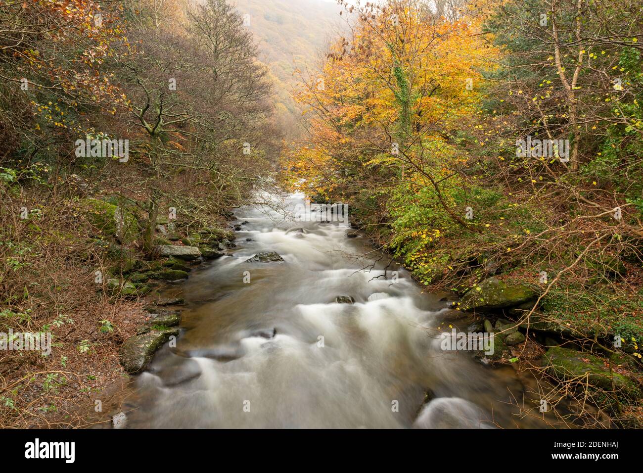 Lange Exposition des Ost-Lyn-Flusses, der durch die fließt Wälder bei Watersmeet im Exmoor Nationalpark im Herbst Stockfoto