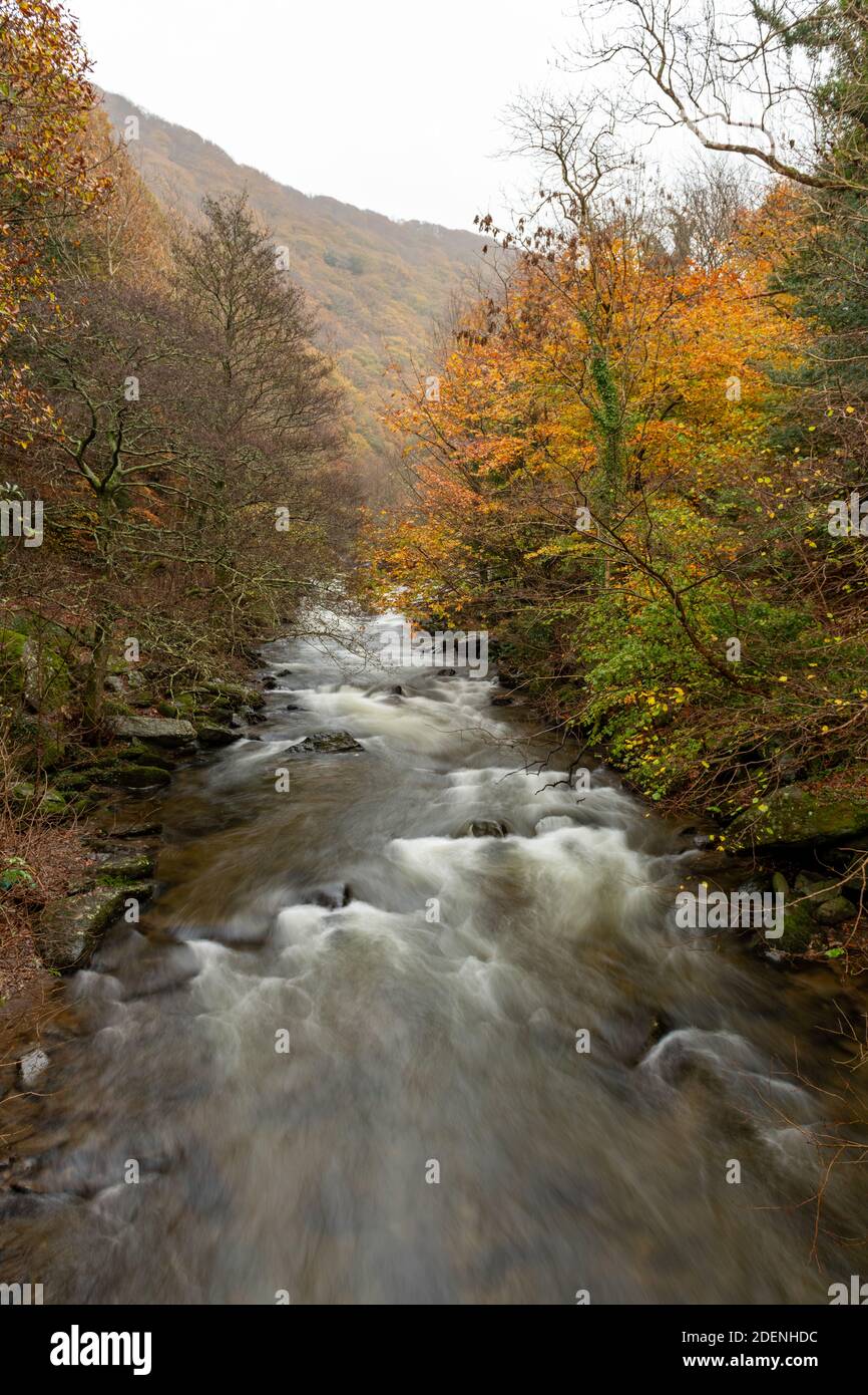 Lange Exposition des Ost-Lyn-Flusses, der durch die fließt Wälder bei Watersmeet im Exmoor Nationalpark im Herbst Stockfoto