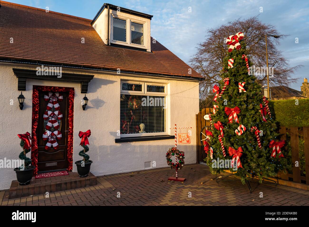 Weihnachtsbeleuchtung Baum Garten Stockfotos Und Bilder Kaufen Alamy