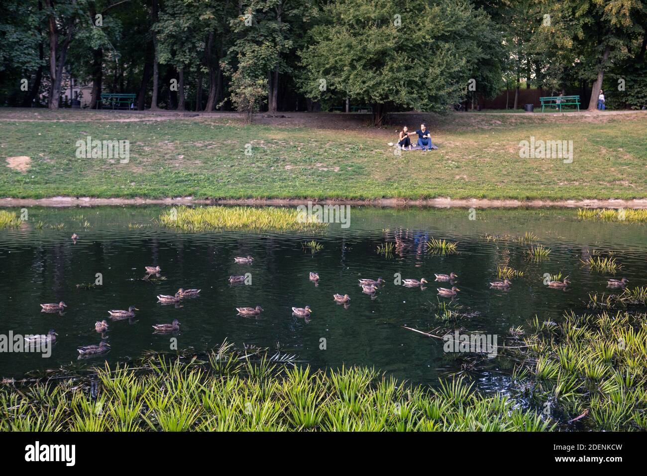 Lviv, Ukraine - 28. August 2020: Menschen, die in der Nähe von See in der Stadt öffentlichen Park Kopie Platz. Blick auf Enten Stockfoto