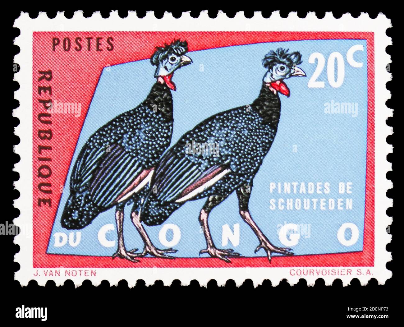 MOSKAU, RUSSLAND - 28. JUNI 2020: Im Kongo gedruckte Briefmarke zeigt Crested Guineafowl (Guttera pucherani), geschützte Vogelserie, um 1963 Stockfoto