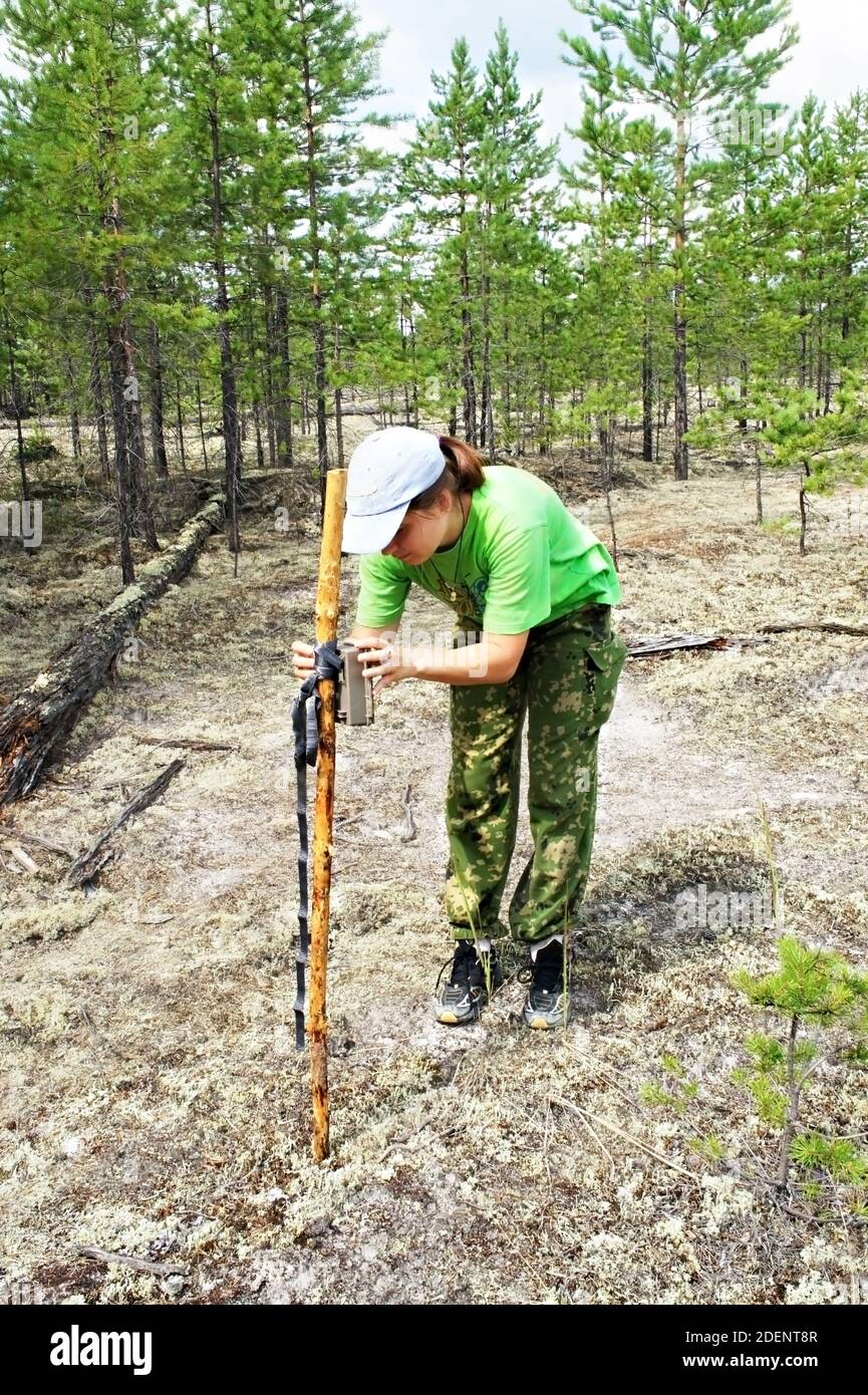 Mädchen Zoologin setzt eine Kamera Falle für die Beobachtung von wilden Tieren im Taiga Wald, um wissenschaftliche Daten zu sammeln. Umweltschutz, Überwachung von r Stockfoto