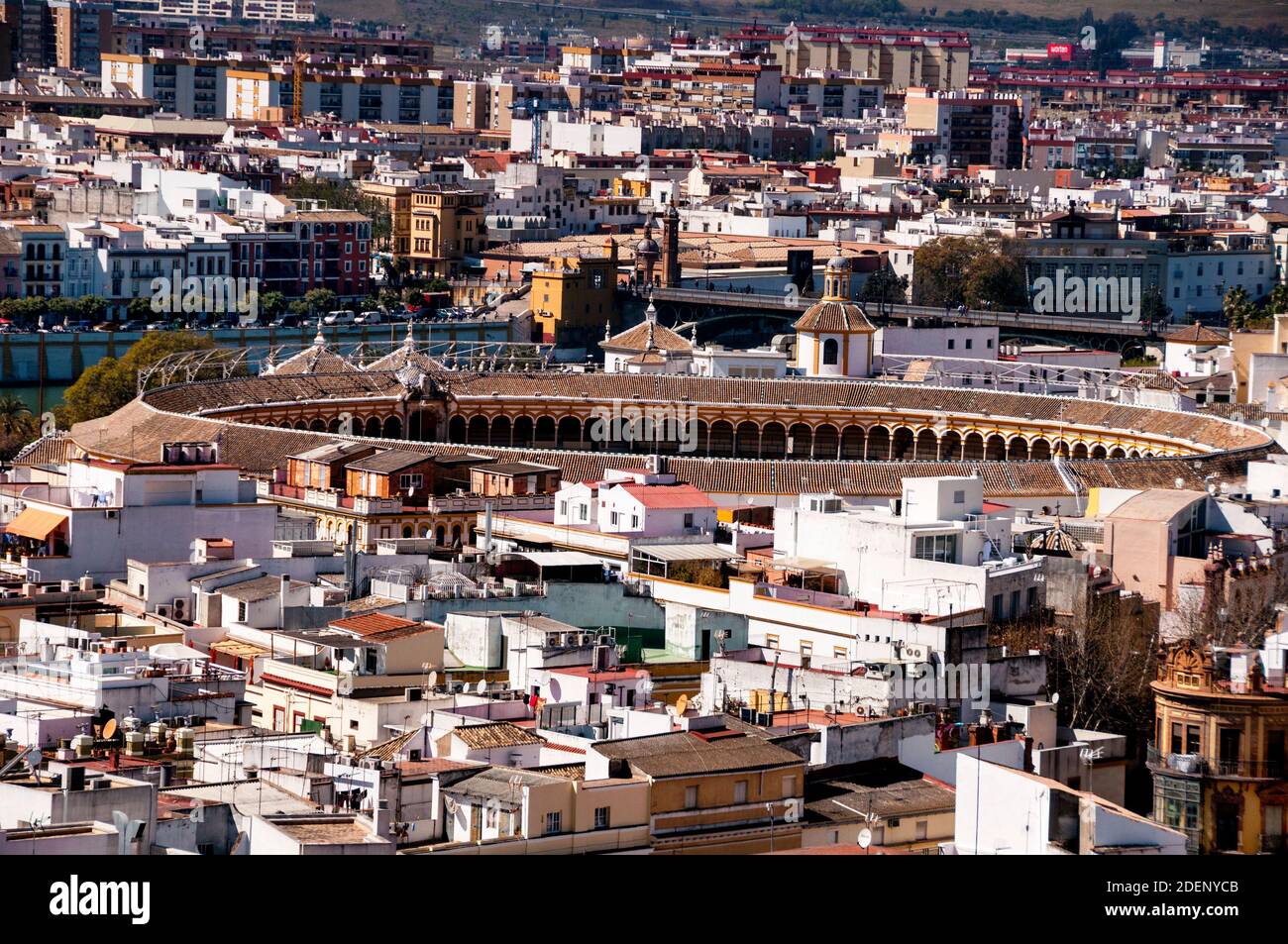 Barocke Stierkampfarena Sevilla oder Plaza de toros de la Real Maestranza de Cabellería de Sevilla in Spanien. Stockfoto