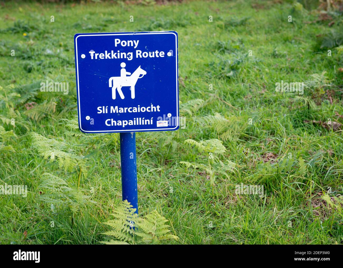Pony Trekking Route zweisprachige Informationstafel auf Englisch und Irisch Gälisch im Killarney Nationalpark, Grafschaft Kerry, Irland Stockfoto