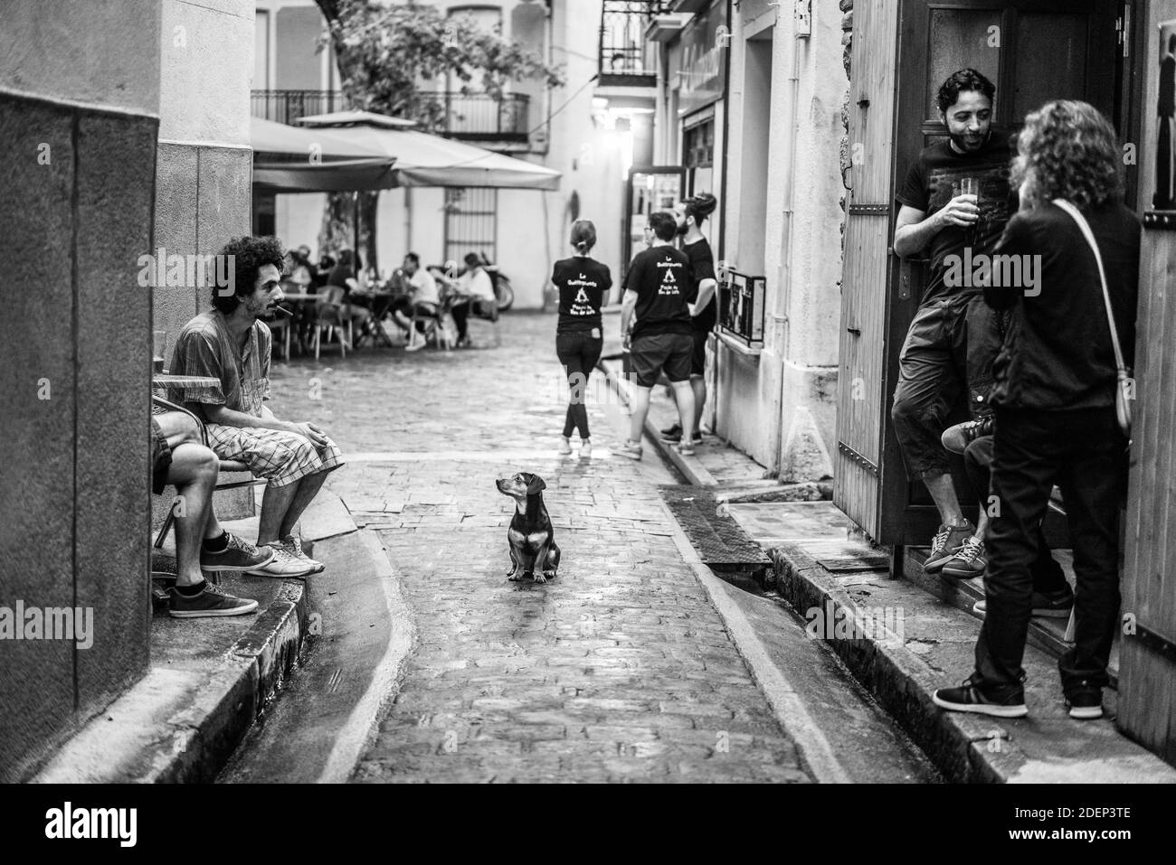 Ceret, Frankreich, Europa. Stockfoto