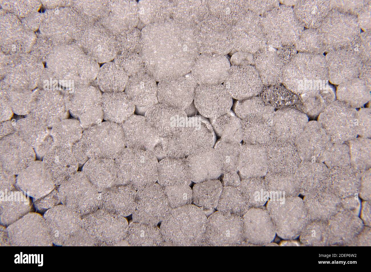 Makro-Nahaufnahme von Graphit-Polystyrol für die Wärmedämmung von Hauswände Stockfoto