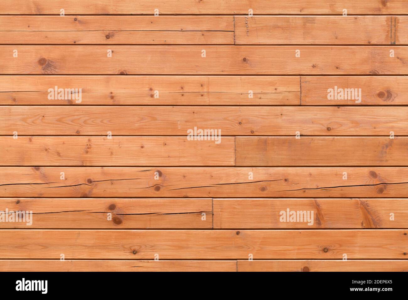 Neue Holzwand aus Kiefernholz Planken, Hintergrund Foto Textur Stockfoto