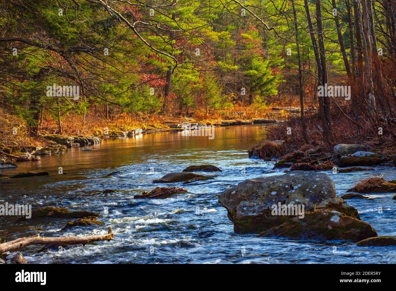 Der Brodhead Creek ein unberührter Kaltwasserstrom in Pennsylvania Pocono Mountains Stockfoto