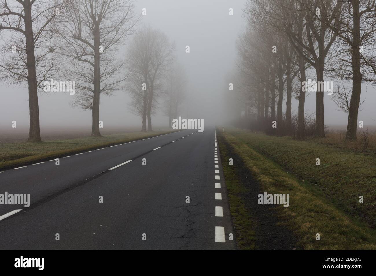 Nebel auf der leeren Straße Stockfoto