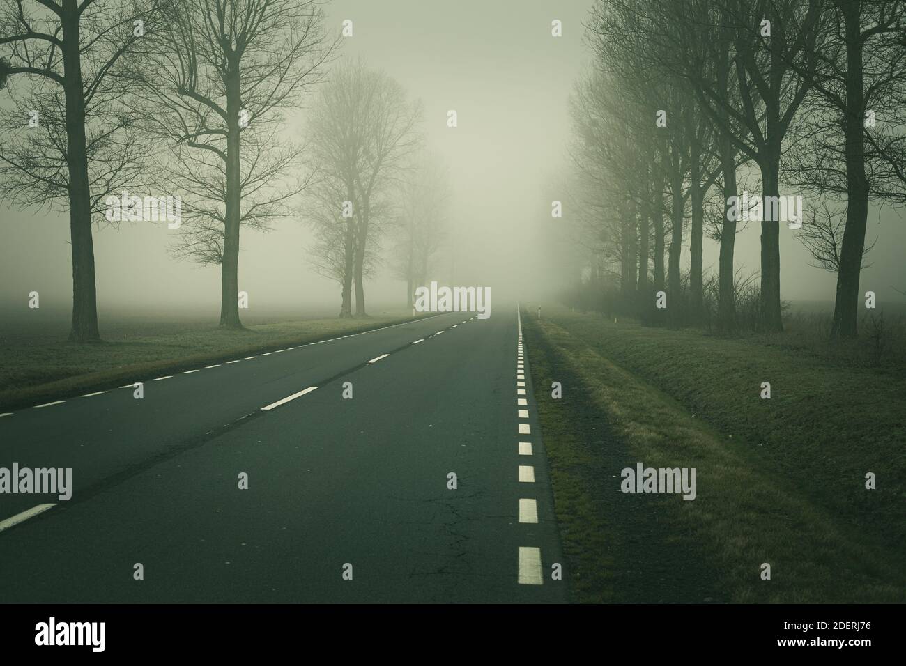 Nebel auf der leeren Straße Stockfoto