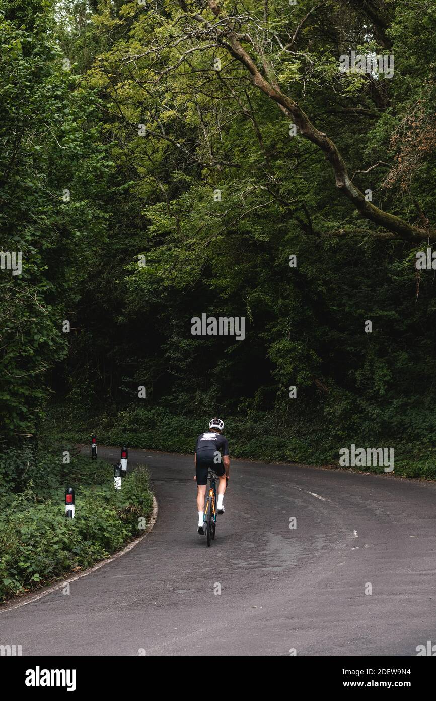 Radfahrer klettern einen Aufstieg mit überhängenden Bäumen Stockfoto