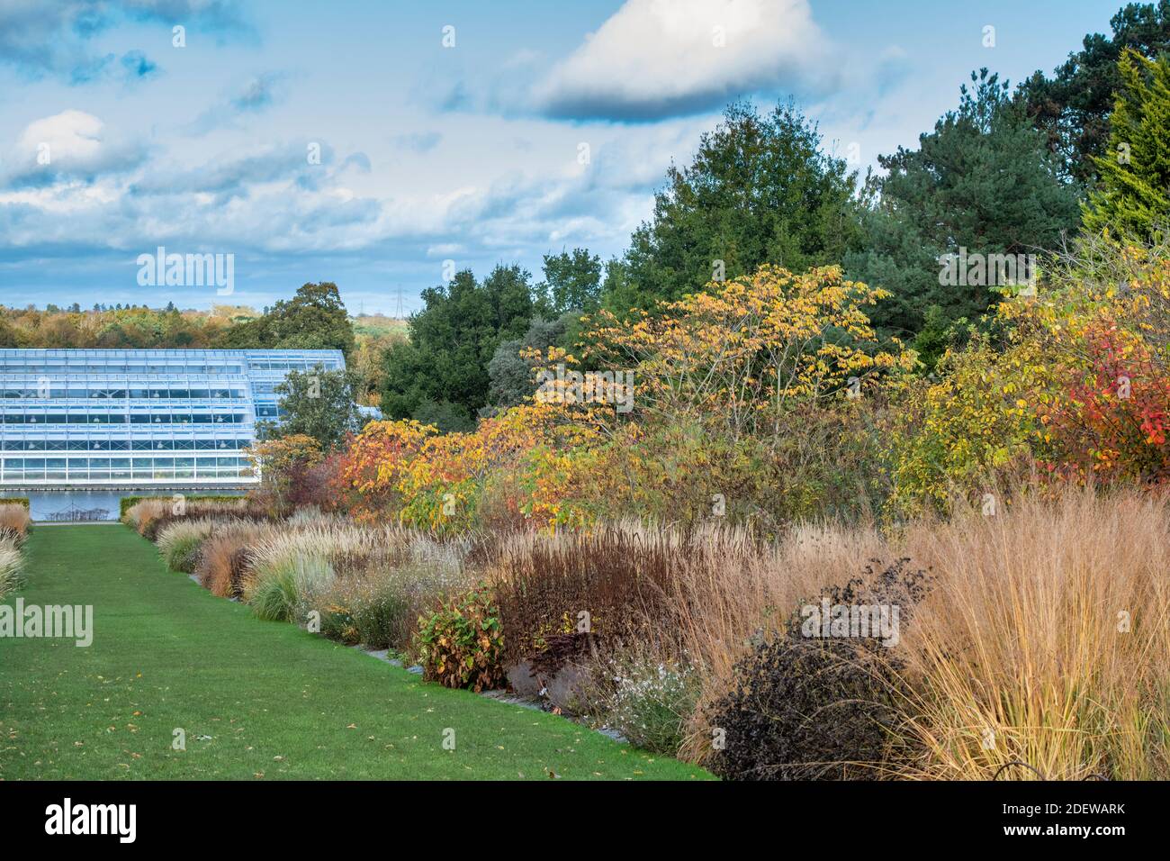 Gewächshaus und Gartengrenzen an der RHS Wisley im Herbst. Surrey, England Stockfoto