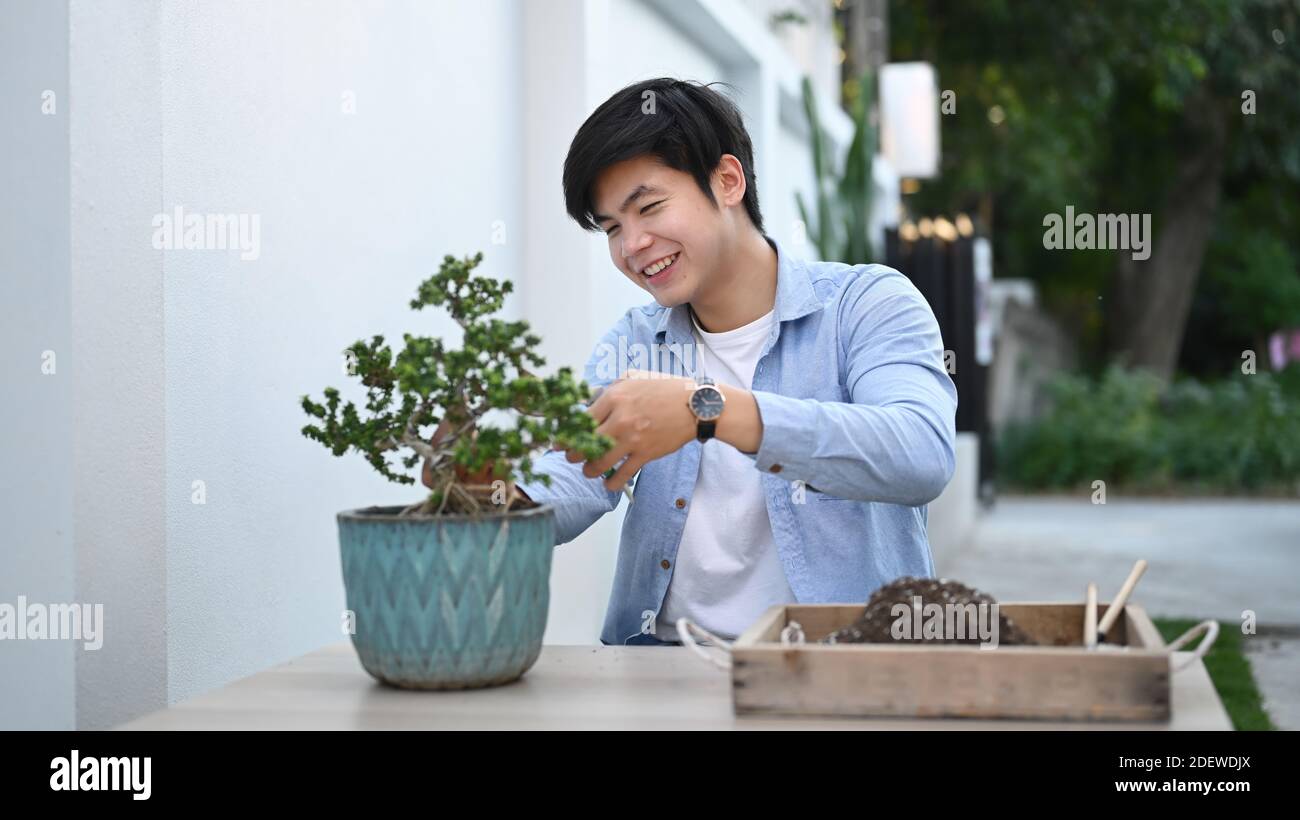 Ein junger glücklicher Gärtner trimmt Bonsai Baum mit Baum beschneiden