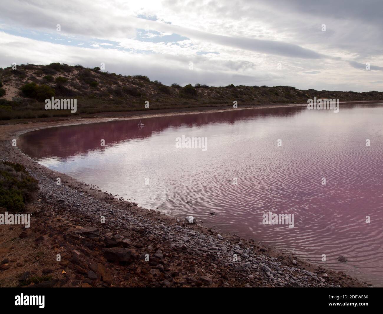 Das rosafarbene Wasser der Hutt Lagoon in der Nähe von Port Gregory, Westaustralien Stockfoto