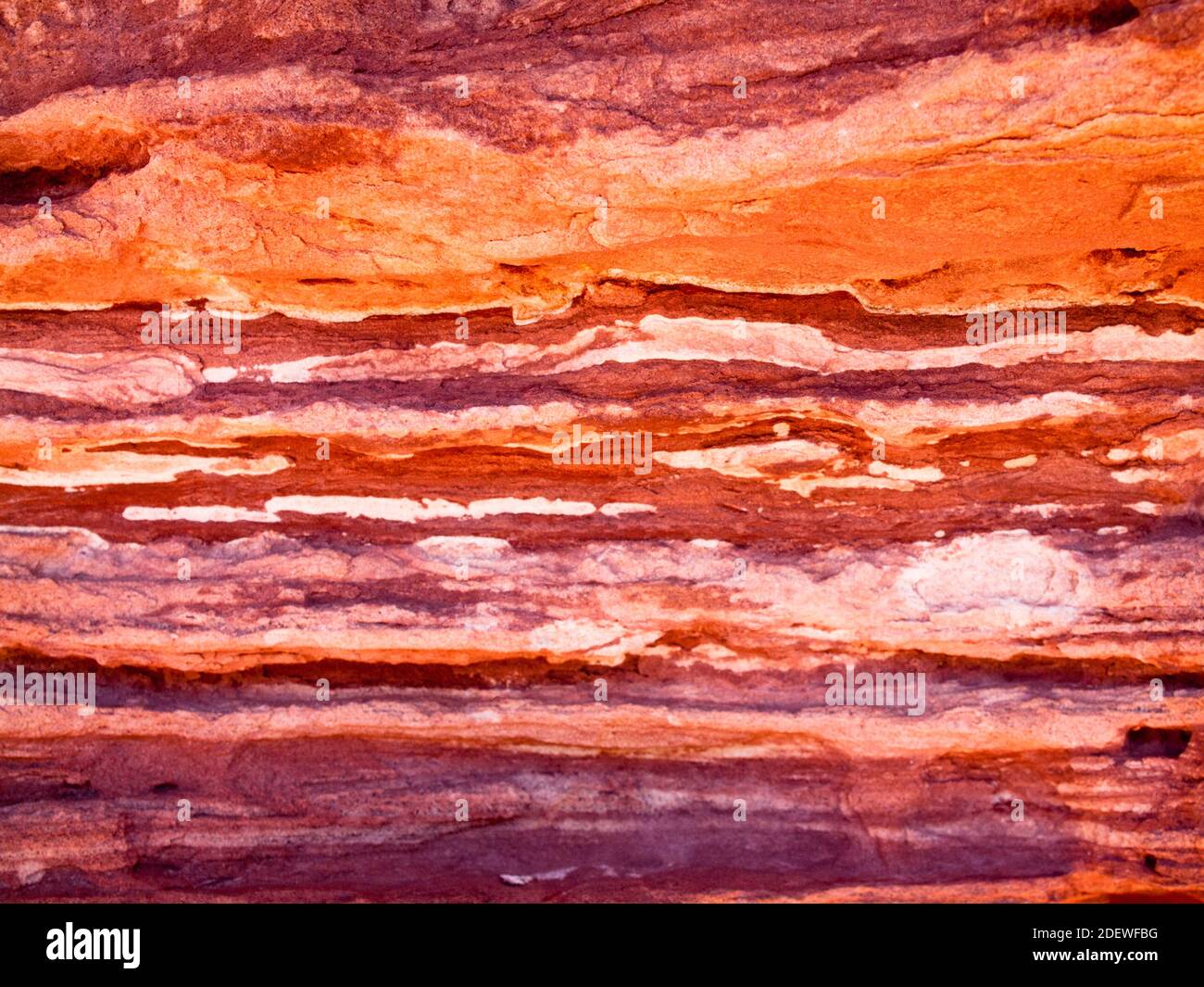 Nahaufnahme von geschichteten Sandsteinfelsen, Kalbarri National Park, Western Australia. Stockfoto