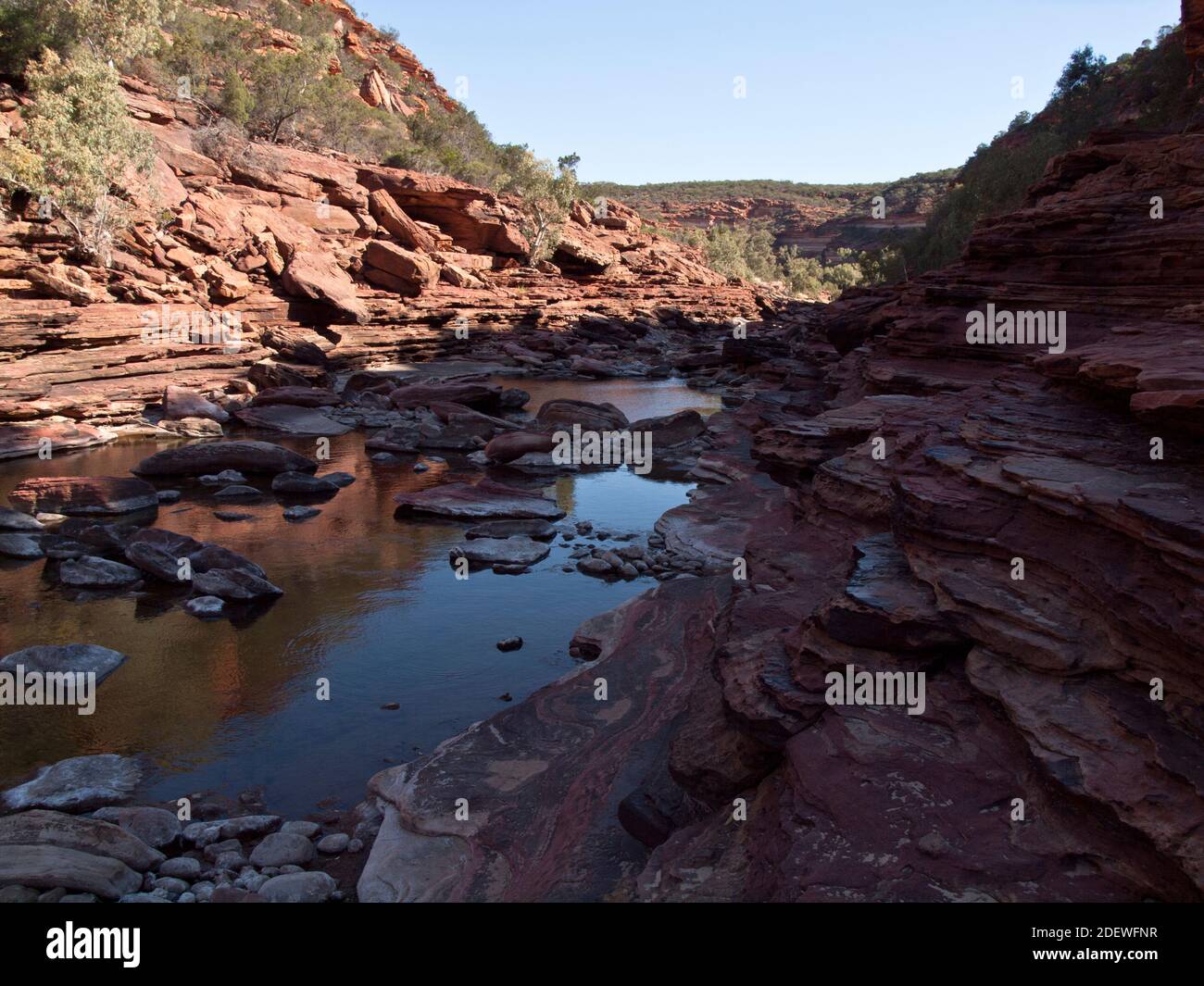 Pool am Murchison River in Z Bend, Kalbarri National Park, Western Australia. Stockfoto