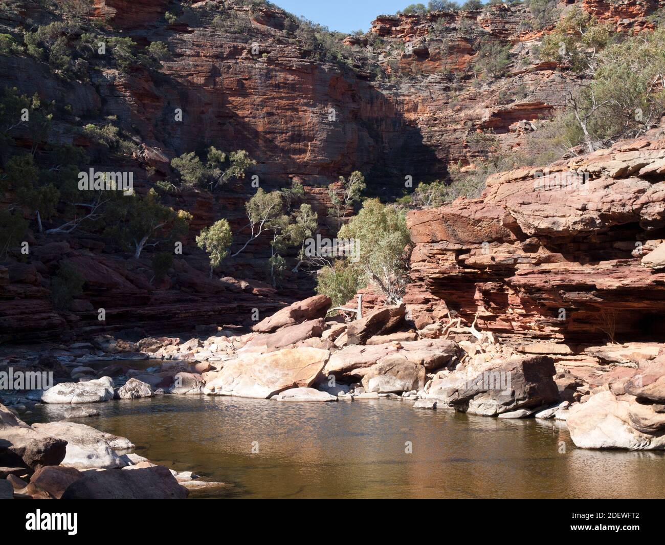 Pool am Murchison River in Z Bend, Kalbarri National Park, Western Australia. Stockfoto