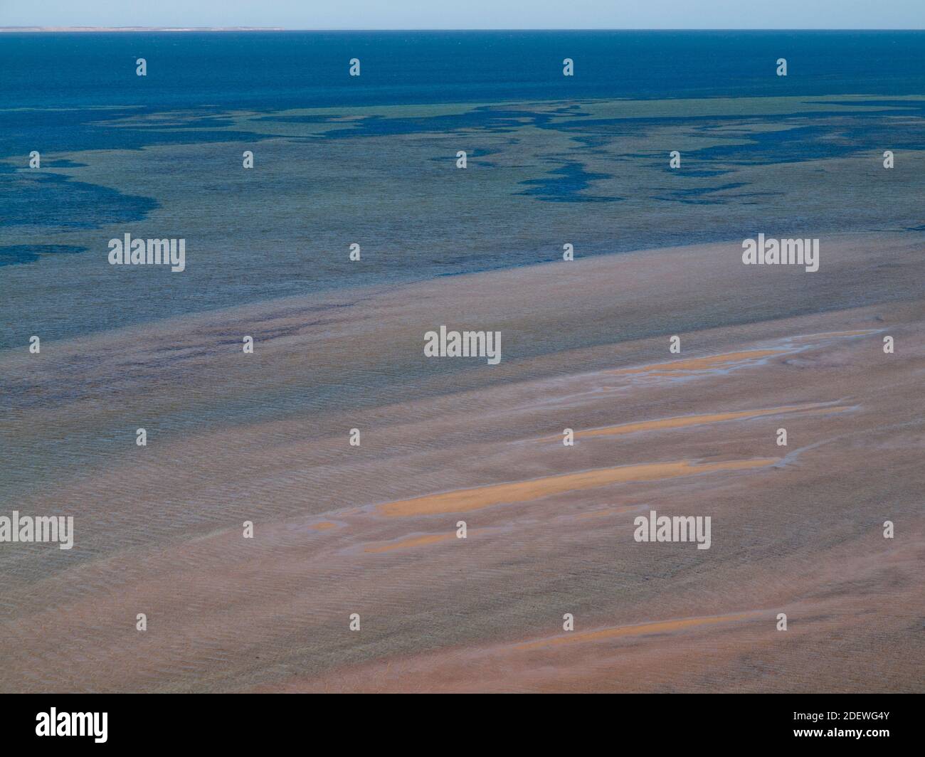 Das flache Wasser der Shark Bay vom Eagle Bluff Aussichtspunkt in der Nähe von Denham, Westaustralien Stockfoto