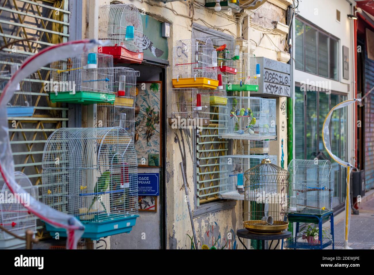 Athen, Griechenland, 12. November 2020. Vogelkäfige hängen in der Tierhandlung, Monastiraki Platz Bereich. Käfig bunte Vögel für den Verkauf außerhalb des Ladens. Wild AV Stockfoto
