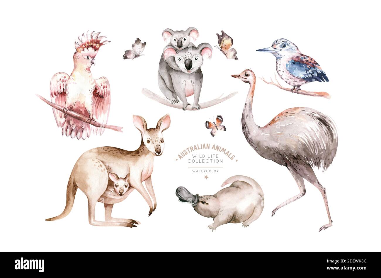 Aquarell australischen Cartoon Känguru nahtlose Muster. Australische Kängurus Set Kinder Illustration. Tapete für den Kindergarten Stockfoto