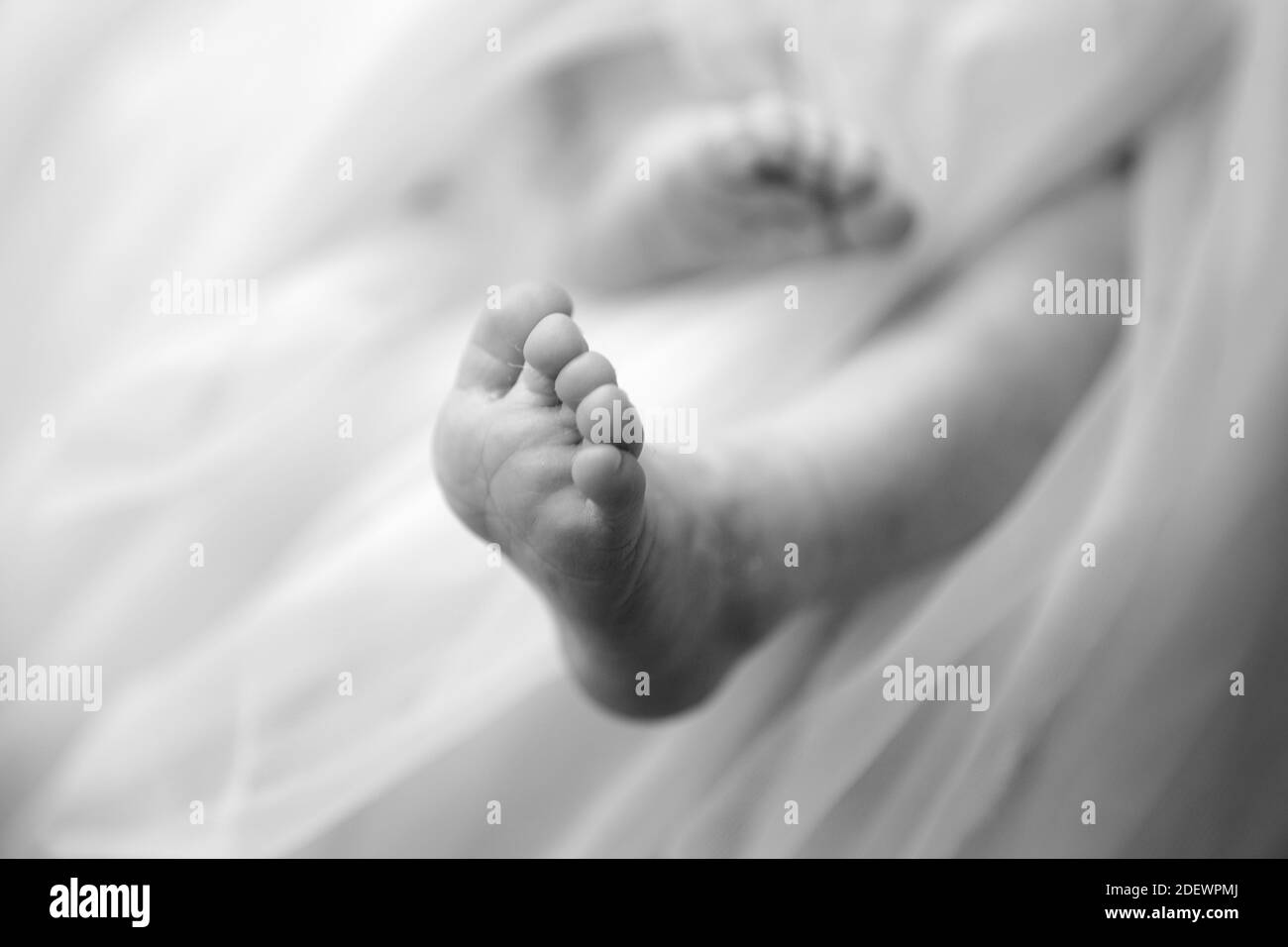 neugeborenes Baby Füße Stockfoto