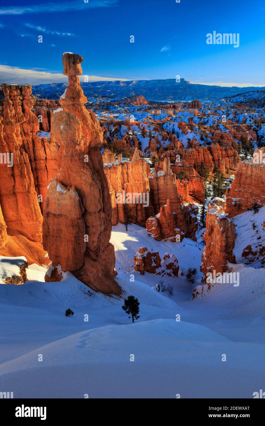 Geographie / Reisen, USA, Utah, Bryce Canyon im Winter, Blick vom Just After Sunset Point, Konj, Additional-Rights-Clearance-Info-Not-available Stockfoto