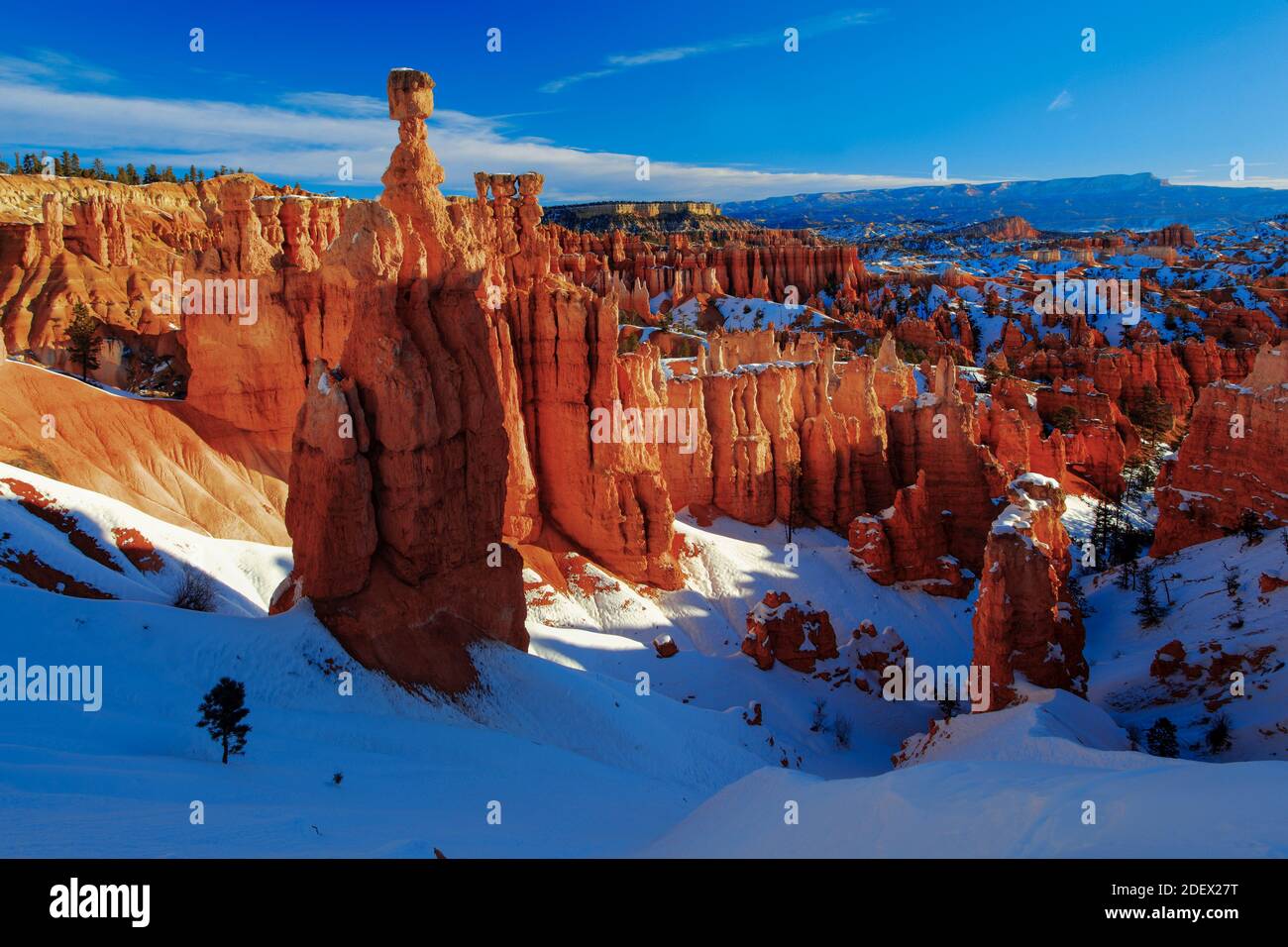 Geographie / Reisen, USA, Utah, Bryce Canyon im Winter, Blick vom Just After Sunset Point, Konj, Additional-Rights-Clearance-Info-Not-available Stockfoto