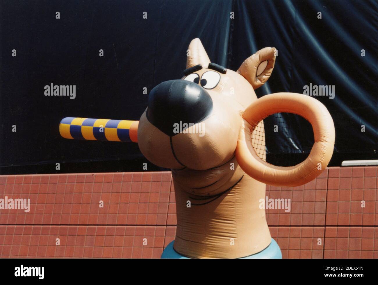 Scooby Doo muppet mit einem Tennisschläger im Mund, 1990er Jahre Stockfoto