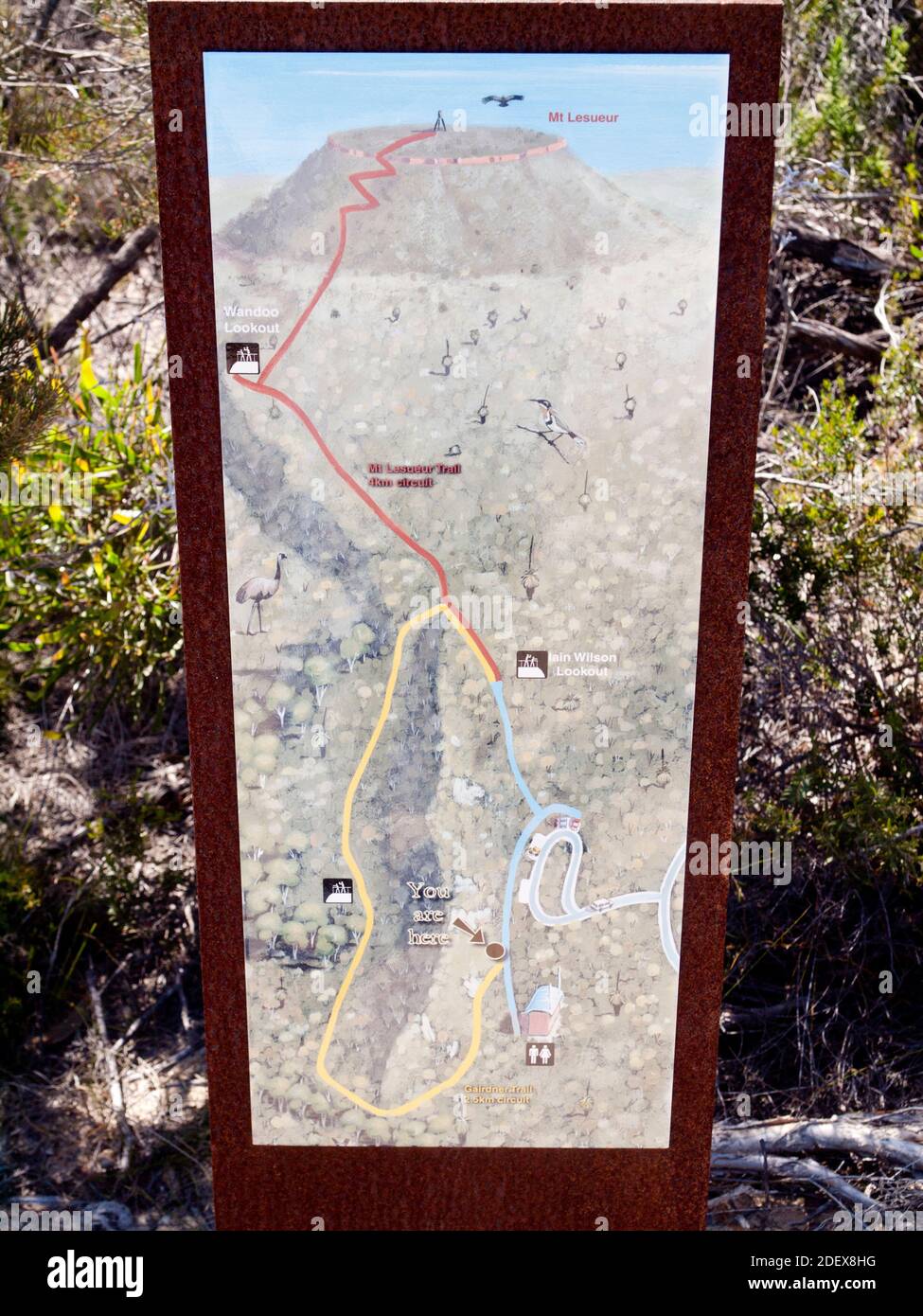 Karte des Gipfelwanderwegs auf den Lesueur (313m), dem Höhepunkt des Lesueur National Park, einem Hotspot der Artenvielfalt an der Türkisküste. Stockfoto