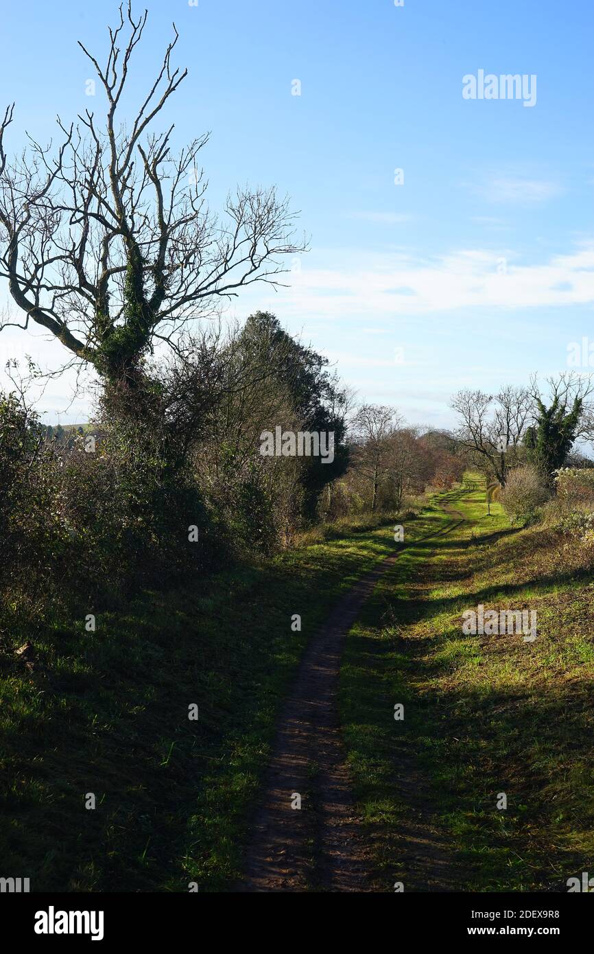 Der alte Icknield Way in der Nähe von Lilley in Hertfordshire Stockfoto