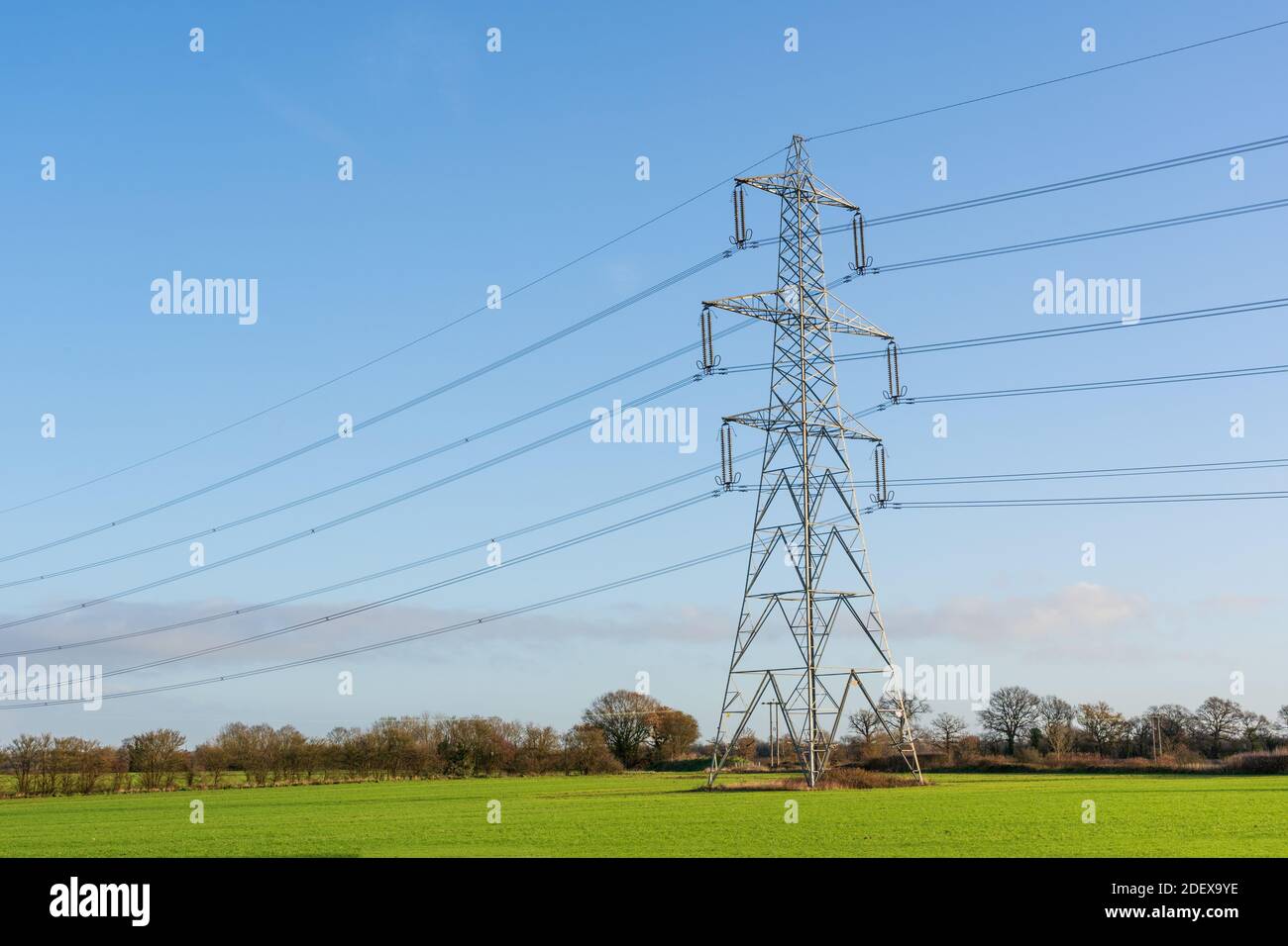 Strommast in einem Feld mit blauem Himmel. Bishop's Stortford, Hertfordshire. VEREINIGTES KÖNIGREICH Stockfoto