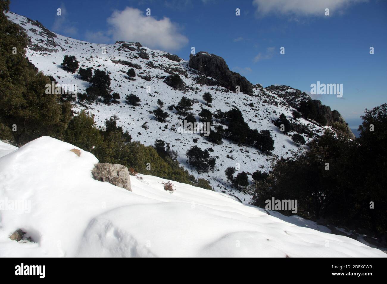 Mallorquinisches Gebirge, Massanella genannt, völlig verschneit, mit wolkenblauem Himmel, in 'Serra de Tramuntana'. Stockfoto