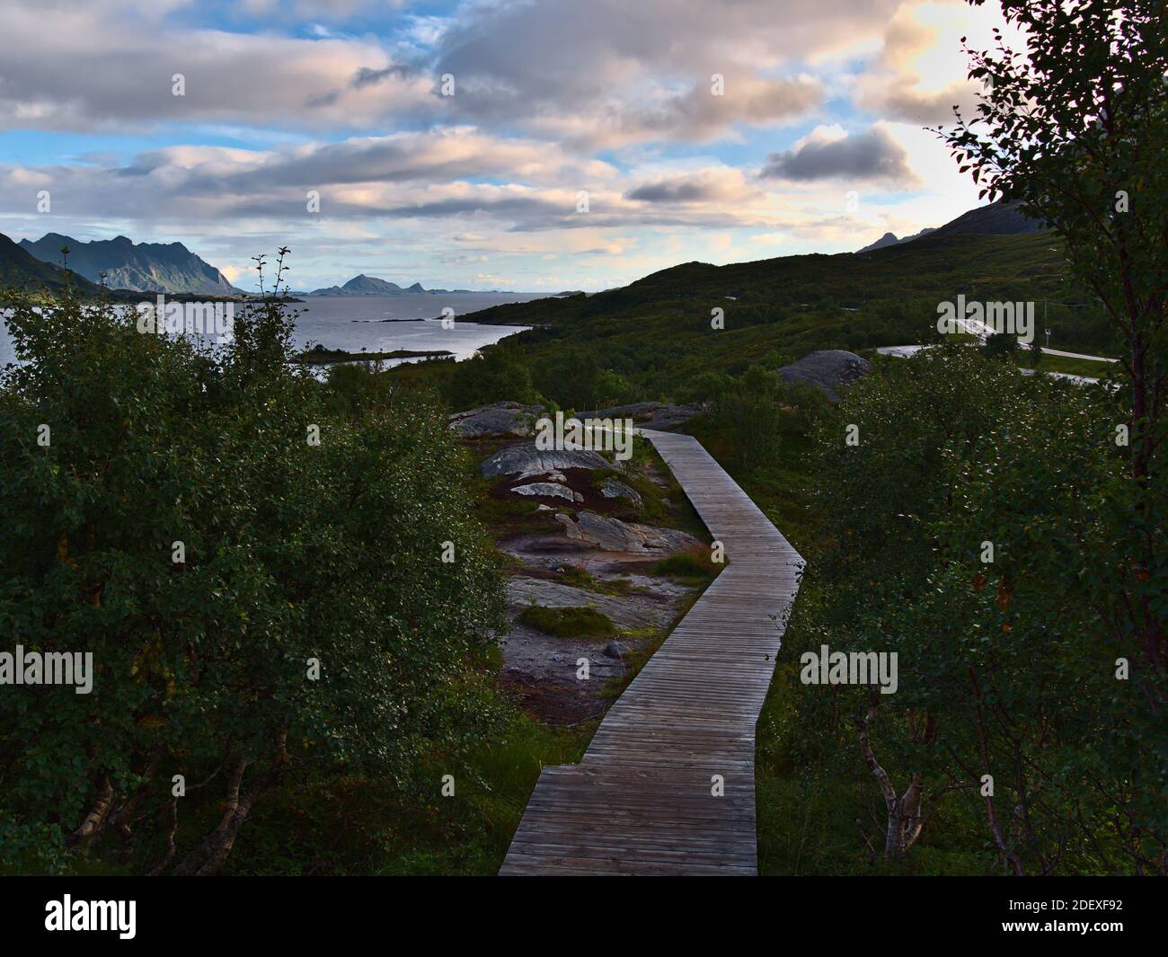 Hölzerne Fußgängerbrücke führt zu einem Aussichtspunkt an der Küste des Austnesfjords, einem Fjord auf der Insel Austvågøy, Lofoten im Norden Norwegens mit Bäumen. Stockfoto